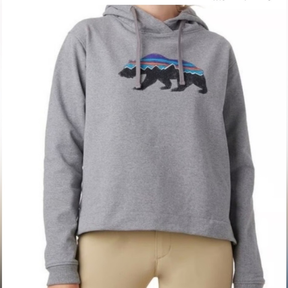 Patagonia Classic Gray Hoodie
